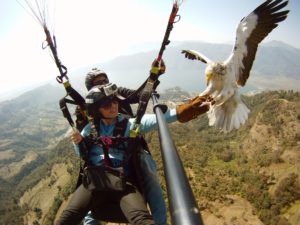 Paragliding Eagles