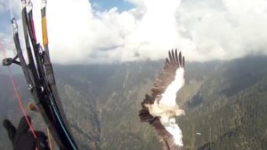 VULT_REF_648x365_2163510229-hero