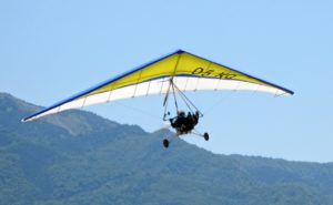 Microlight